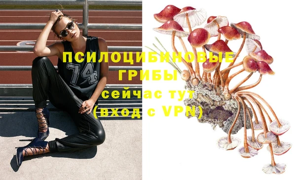марки lsd Баксан