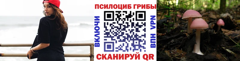 Псилоцибиновые грибы мухоморы  гидра сайт  Улан-Удэ  дарнет шоп 